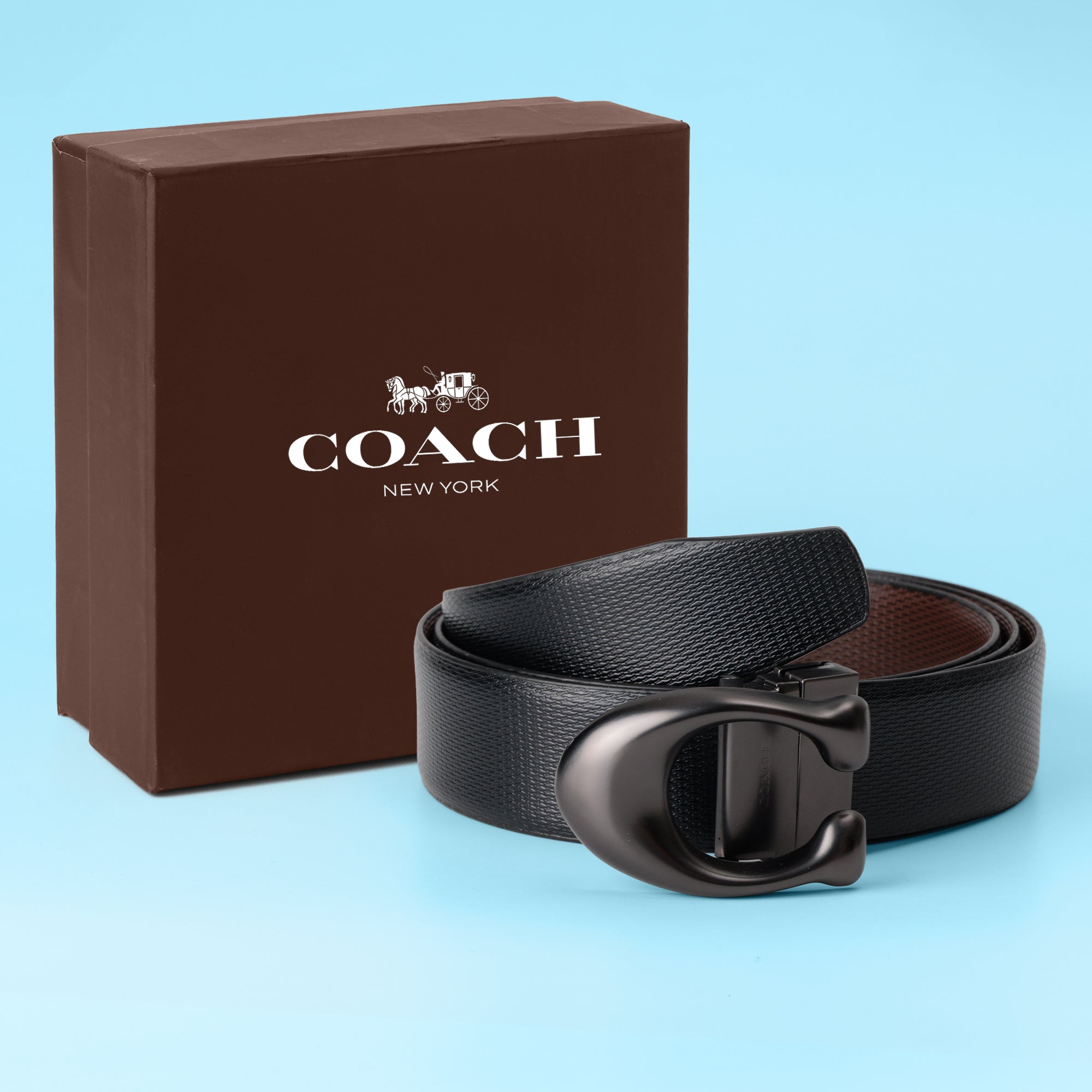 Midnight Statement Buckle Belt